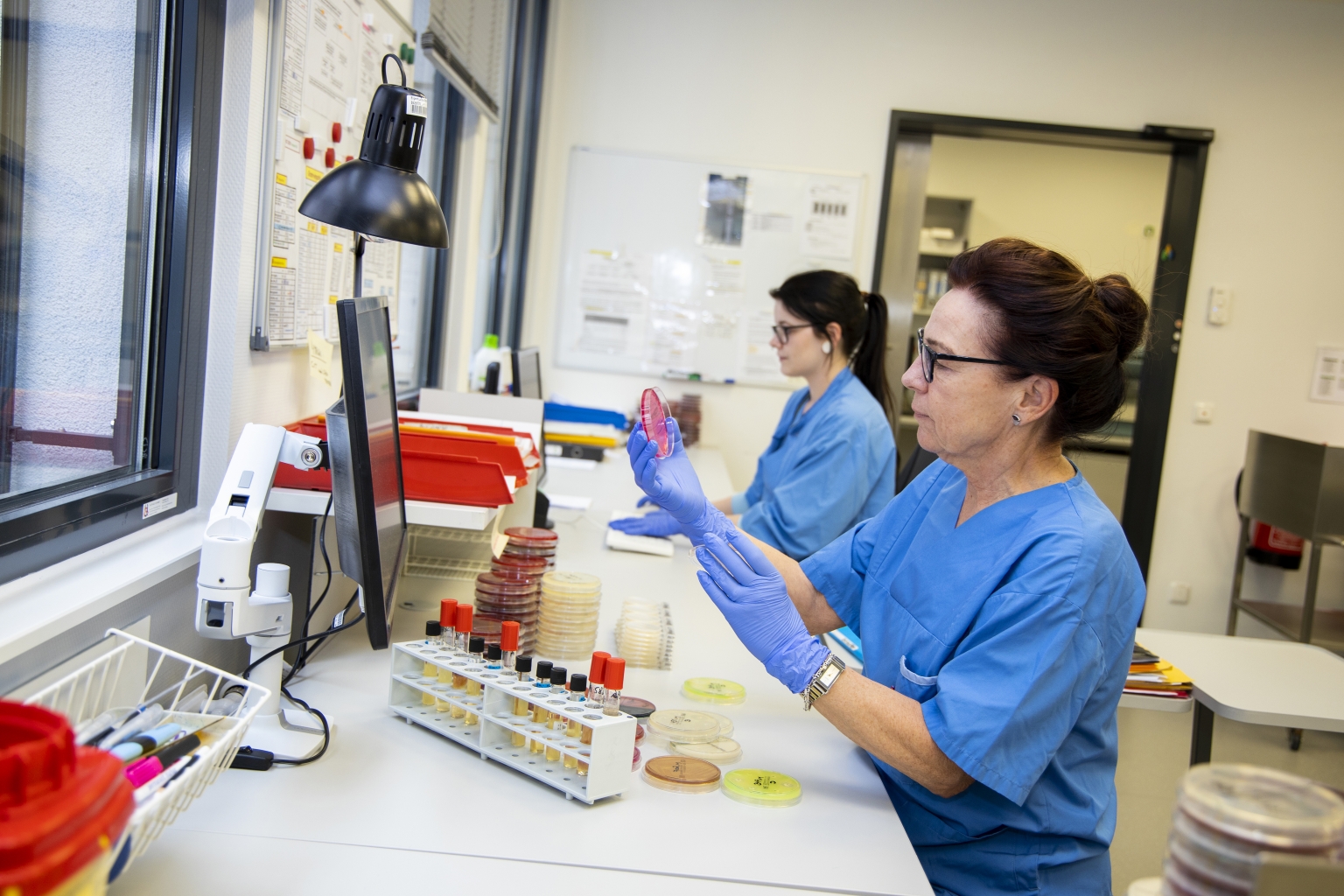 Institut für Pathologie und Mikrobiologie Wiener Gesundheitsverbund